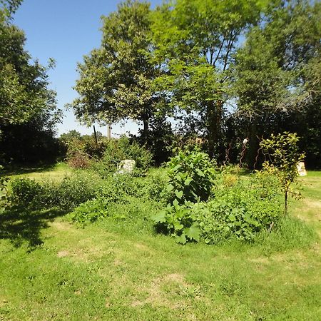 Tranquille Vienne Gites A Chirac Dept Charente ภายนอก รูปภาพ