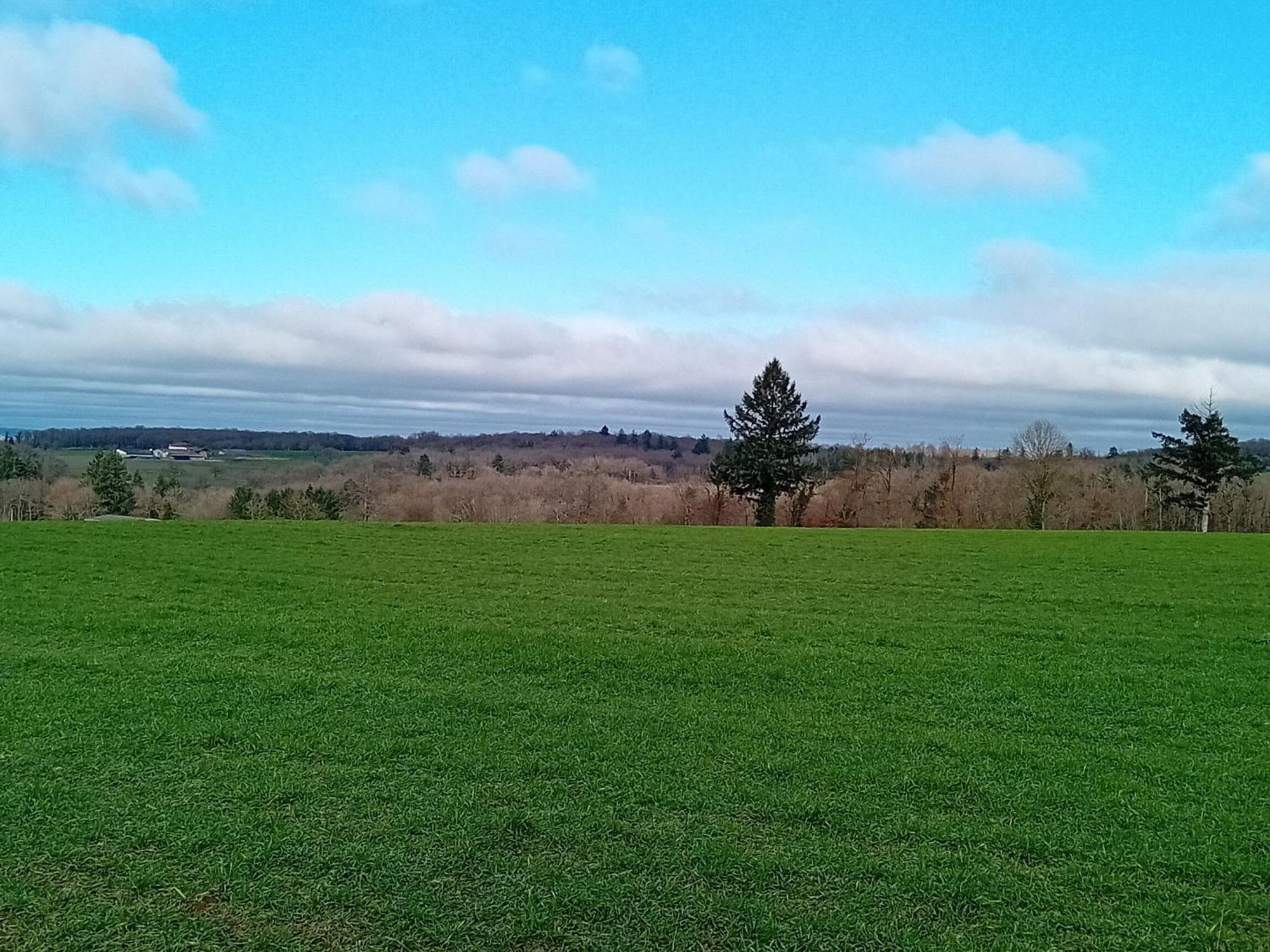 Tranquille Vienne Gites A Chirac Dept Charente ภายนอก รูปภาพ