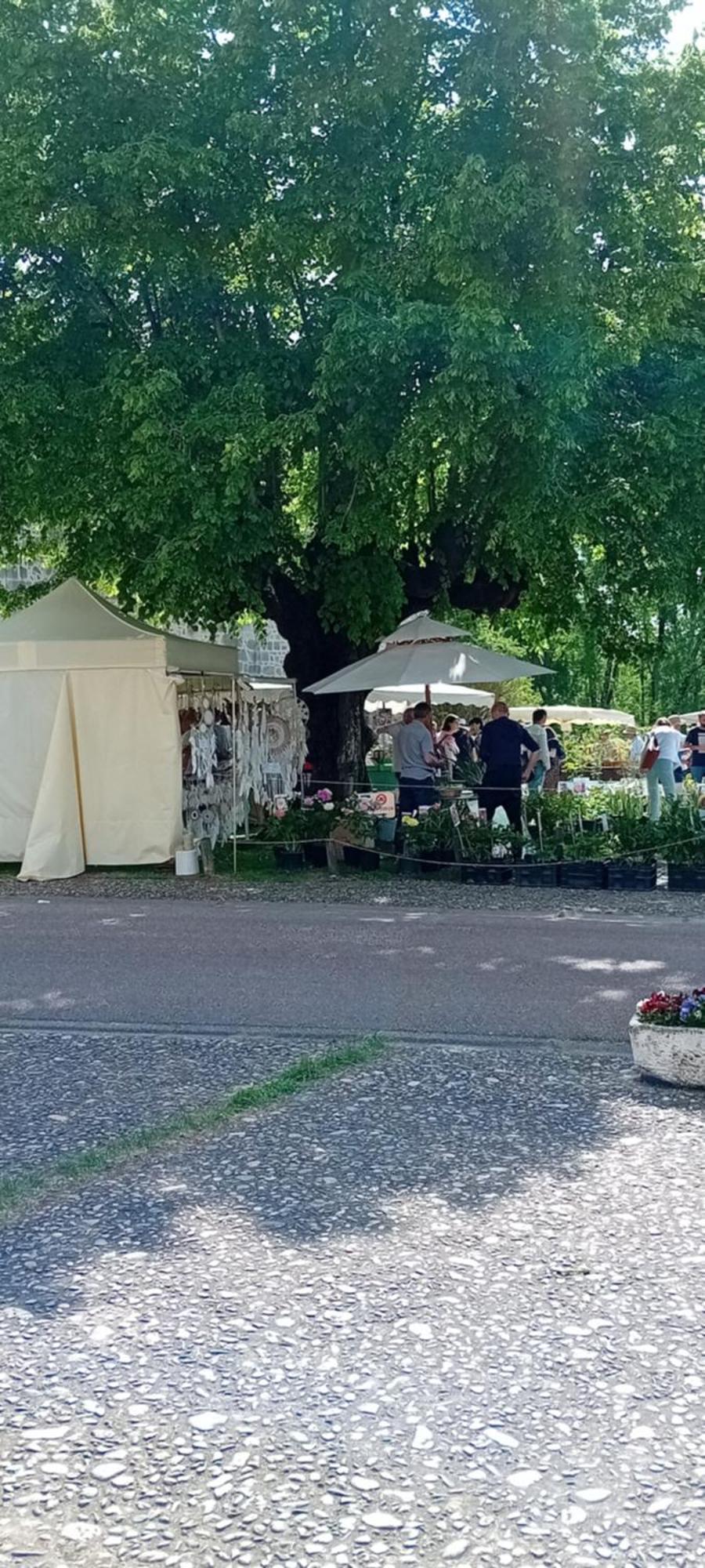 Tranquille Vienne Gites A Chirac Dept Charente ภายนอก รูปภาพ